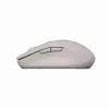 Canyon Maus MW-12 Dualband kabellos Beige - Maus - 2.400 dpi (CNS-CMSW12BG)
