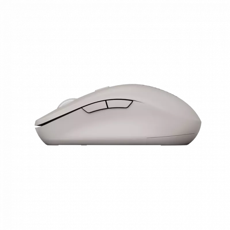 Canyon Maus MW-12 Dualband kabellos Beige - Maus - 2.400 dpi (CNS-CMSW12BG)