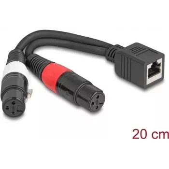 DeLOCK 88178 Audiokabel 0,2 m RJ-45 2 x XLR (3-polig) Schwarz