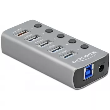 Delock DELOCK-63262 Grau