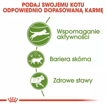 Royal Canin Outdoor Trockenfutter für Katzen 2 kg