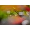 Verbindungsstück Gardena L-Stück Tropfbewässerungssystem Kunststoff