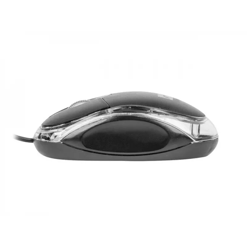 Maus NATEC Vireo 2 USB Typ-A Optisch