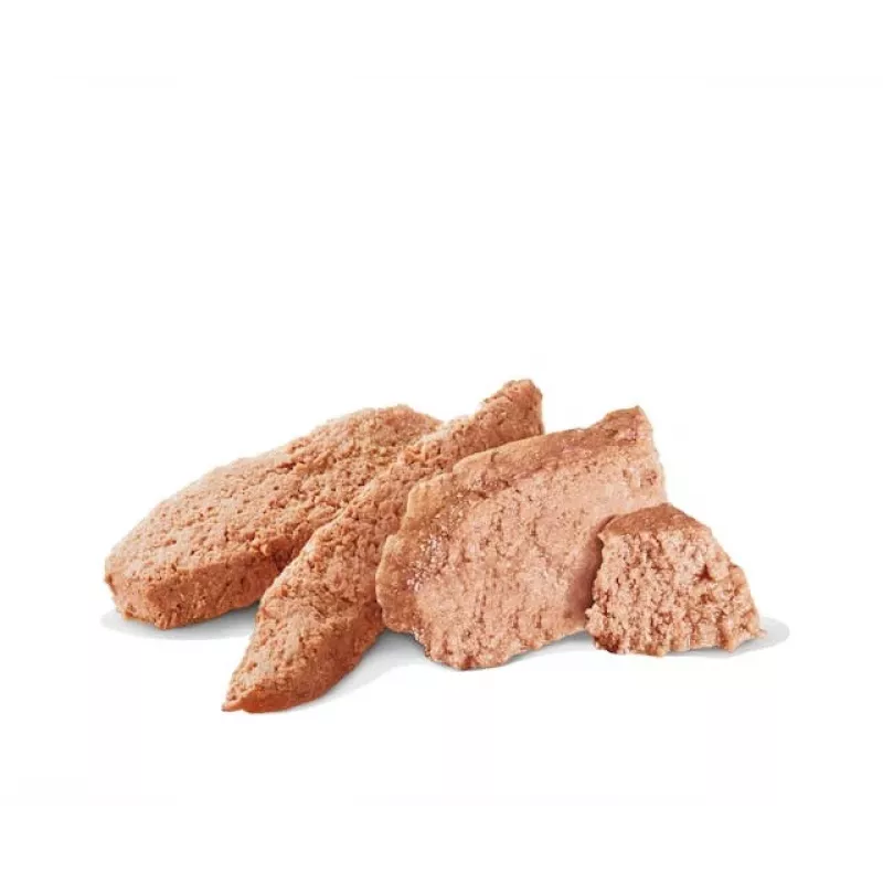 Nassfutter für Hunde Royal Canin Gastrointestinal High Fibre Loaf 200 g — ausgewachsene Hunde, Fleischgeschmack, Unterstützung der Verdauung
