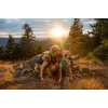 Ruffwear Front Range XS Blau Polyester