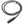 Intermec - Stromkabel - für Honeywell CN80, Dolphin CT50, Intermec 751, CK61, CN2A, CN2B, CN2G, CN3, CN3A, CN3e, CN3F (226-109-003)