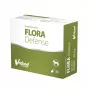VetFood Flora Defense Probiotikum für Hunde und Katzen 30 Kapseln
