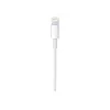 Apple USB-C auf Lightning Kabel (1 m)