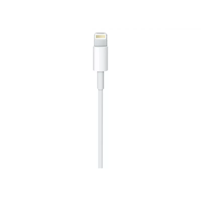 Apple USB-C auf Lightning Kabel (1 m)