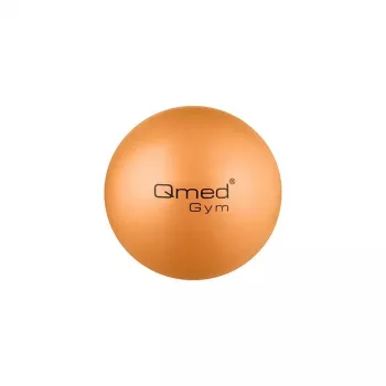 ABS-Rehabilitationsball 25 cm mit Pumpe