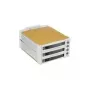 Fantec SNT-BA2131-2 - S-ATA 2x 13,30cm (5,25) für 3x1 HDD beige (2007)