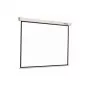 Reflecta CrystalLine Rollo Projektionsleinwand 1:1 196x196 cm