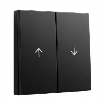 Wippen 2-fach mit Pfeilen Gira System 55, Modell 3294005, schwarz