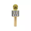 Mikrofon MANTA MIC10-G Gold Niere tragbar — Kondensator-Niere, Handdesign