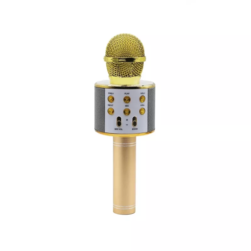 Mikrofon MANTA MIC10-G Gold Niere tragbar — Kondensator-Niere, Handdesign