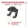 Nassfutter für Katzen Royal Canin FHN Ageing 11+ Gravy 12×85 g – Senior Komplett-Nassfutter in Schalen