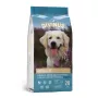 Trockenfutter für Hunde DIVINUS Adult 20 kg — Geflügel, 23 % Protein, 8 % Fett, 3 % Rohfaser, geeignet für ausgewachsene Hunde aller Rassen