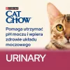 Purina Cat Chow Urinary Tract Health Katzentrockenfutter 1,5 kg Adult Chicken