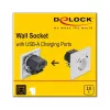 Steckdose 2 x USB + CEE 7/3 DeLOCK 11473