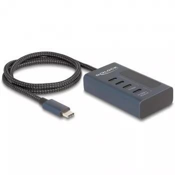 DeLOCK 64189 USB-Hub Typ-C 10000 Mbit/s Blau Metall