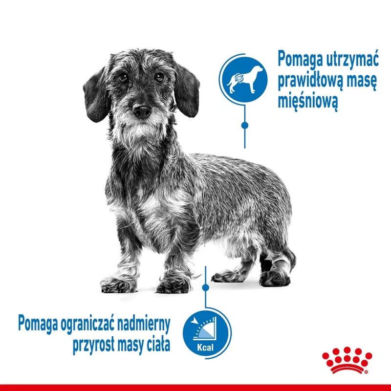 Royal Canin CCN MINI LIGHT WEIGHT CARE - Trockenfutter für ausgewachsene Hunde - 3 kg