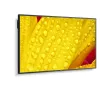 NEC MultiSync M651-2 Kioskdesign 165,1 cm (65 Zoll) LED 500 cd/m² 4K Ultra HD Schwarz Eingebauter Prozessor