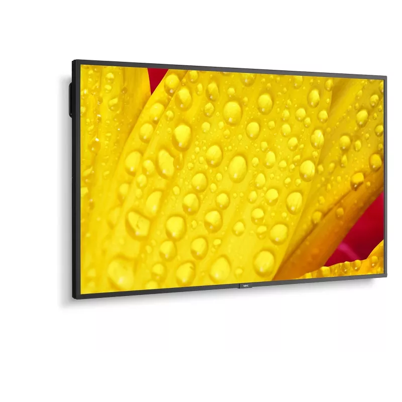 NEC MultiSync M651-2 Kioskdesign 165,1 cm (65 Zoll) LED 500 cd/m² 4K Ultra HD Schwarz Eingebauter Prozessor