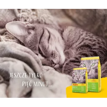 Trockenfutter für Katzen JOSERA SensiCat 10 kg — Huhn, 33 % Protein, 18 % Fett, für ausgewachsene Katzen mit empfindlichem Magen