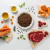 RAW PALEO Ultra Medium&Large Adult Rind - Trockenfutter für Hunde - 10 kg