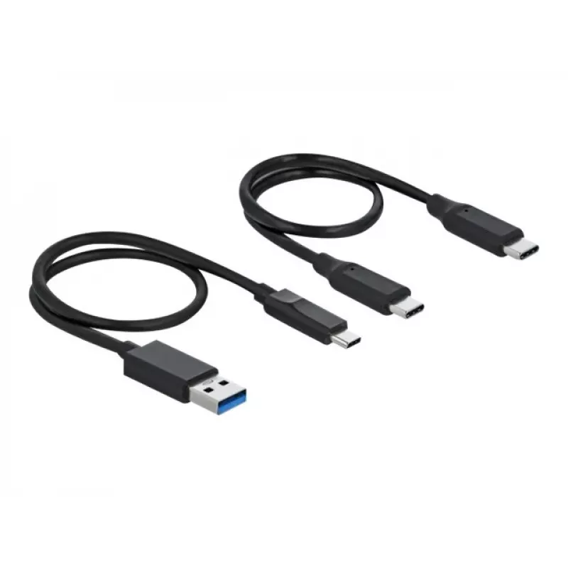 DeLOCK Kartenleser USB Type-C für CFast SD + USB Hub