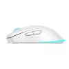 Maus Baracuda BGM-122 Turtle Weiß TURTLE-W
