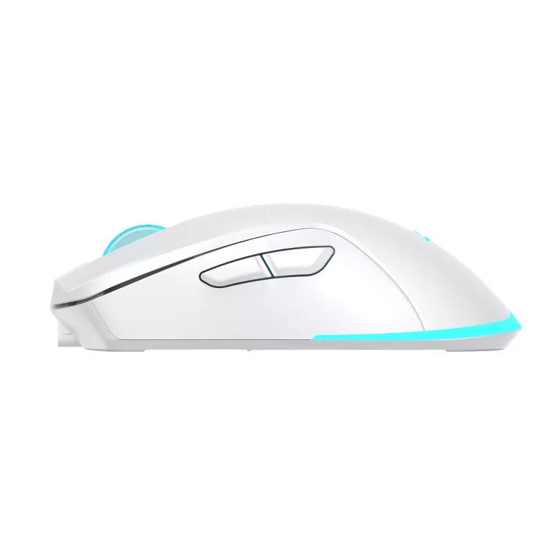 Maus Baracuda BGM-122 Turtle Weiß TURTLE-W