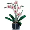 LEGO 10311 Icons Orchidee Künstliche Pflanze Bauset mit Blumen Wohnaccessoire für Erwachsene Botanische Kollektion Geschenk für Ehefrau oder Ehemann