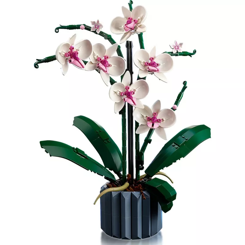 LEGO 10311 Icons Orchidee Künstliche Pflanze Bauset mit Blumen Wohnaccessoire für Erwachsene Botanische Kollektion Geschenk für Ehefrau oder Ehemann