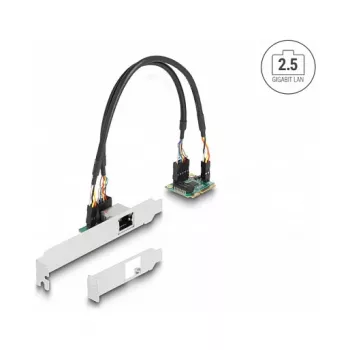 DeLOCK 95271 Interne Netzwerkkarte 2500 Mbit/s Mini PCI Express