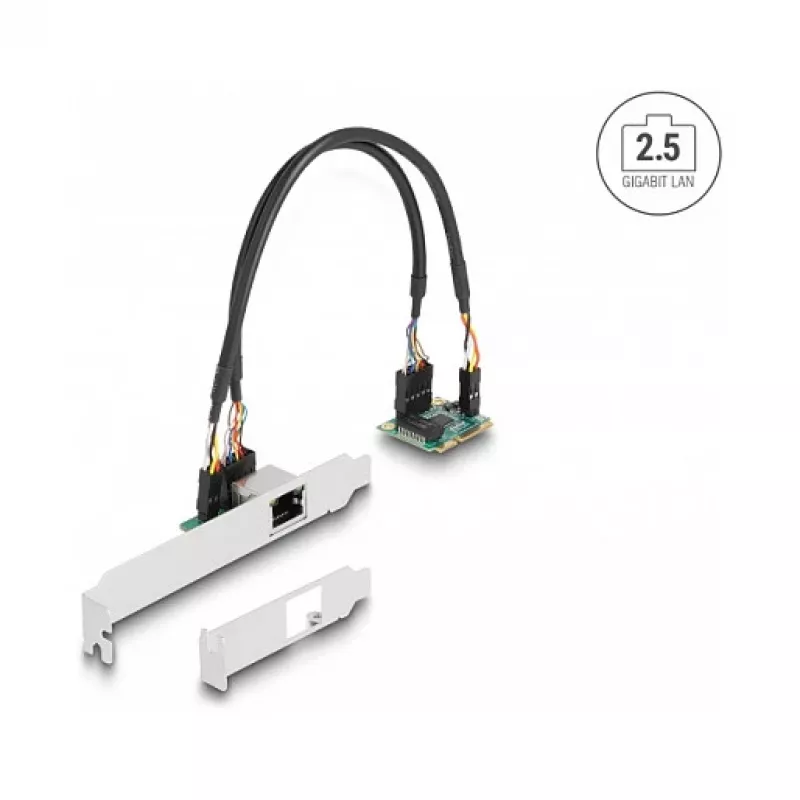 DeLOCK 95271 Interne Netzwerkkarte 2500 Mbit/s Mini PCI Express
