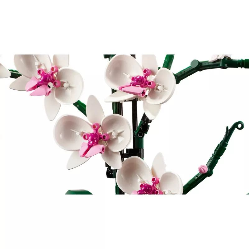 LEGO 10311 Icons Orchidee Künstliche Pflanze Bauset mit Blumen Wohnaccessoire für Erwachsene Botanische Kollektion Geschenk für Ehefrau oder Ehemann