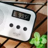 Tragbares Digitalradio Adler AD 1907 — UKW/MW, digitaler Tuner, Wecker, USB-C, 600 mAh Akku, LCD, 20 Senderspeicher, Teleskopantenne