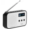 Tragbares Digitalradio Adler AD 1907 — UKW/MW, digitaler Tuner, Wecker, USB-C, 600 mAh Akku, LCD, 20 Senderspeicher, Teleskopantenne