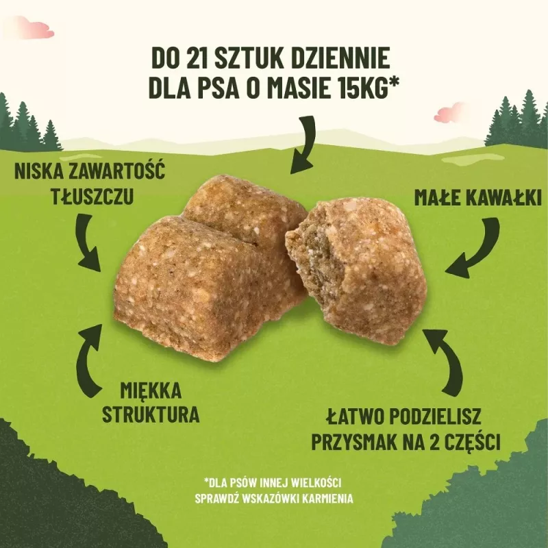 PURINA Adventuros Training Lachs - Hundeleckerli - 40 g