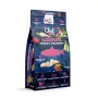 SYTA MICHA Chef Lachs, Pastinake und Erdbeere - Trockenhundefutter - 9kg