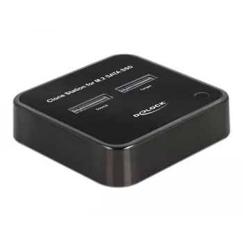 DeLOCK 64178 Dockingstation USB 3.2 Gen 2 Type-C SSD M.2