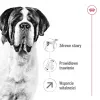 ROYAL CANIN Giant Adult - Trockenfutter für Hunde - 15 kg