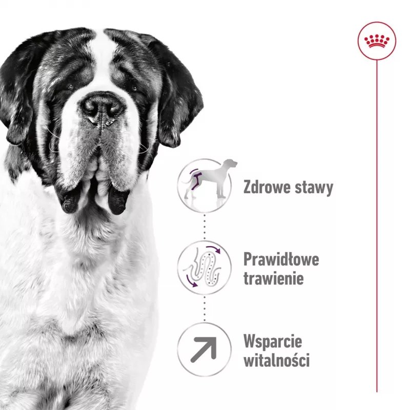 ROYAL CANIN Giant Adult - Trockenfutter für Hunde - 15 kg