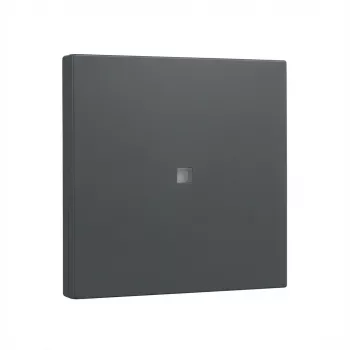 Wippabdeckung Gira System 55 Steuereinsatz Abdeckplatte anthrazit (Modell 329028)