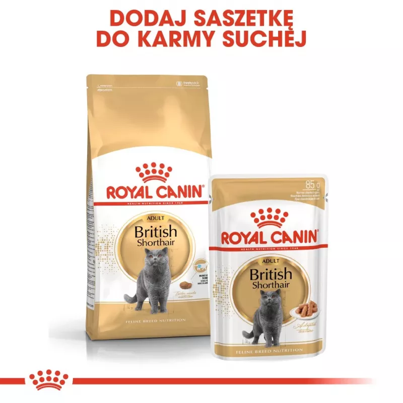 Trockenfutter für Katzen Royal Canin British Shorthair Adult 2 kg — Geflügel, 34% Protein, 19% Fett
