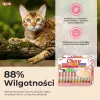 INABA Churu Sortimentsbox Thunfisch – Katzensnacks – 60 x 14g