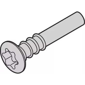 SCHROFF Torx-Linsenkopfschraube - NTS LISESHR TORX3.0X20 100 Stück (24812501)