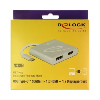 USB-Grafikadapter DeLOCK 87716 2560 x 1440 Pixel Silber