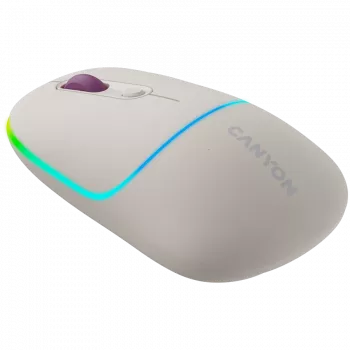 CANYON Maus MW-22 2-in-1 BT/Wireless Rice